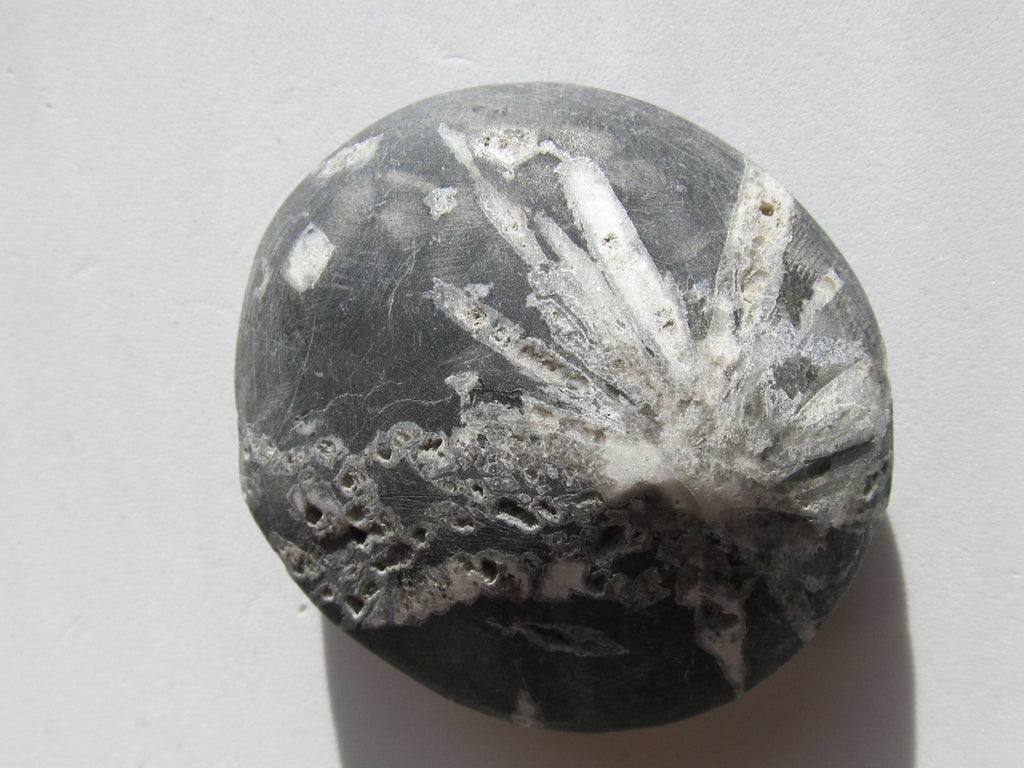 chrysanthemum stone pierre de chrysantheme
