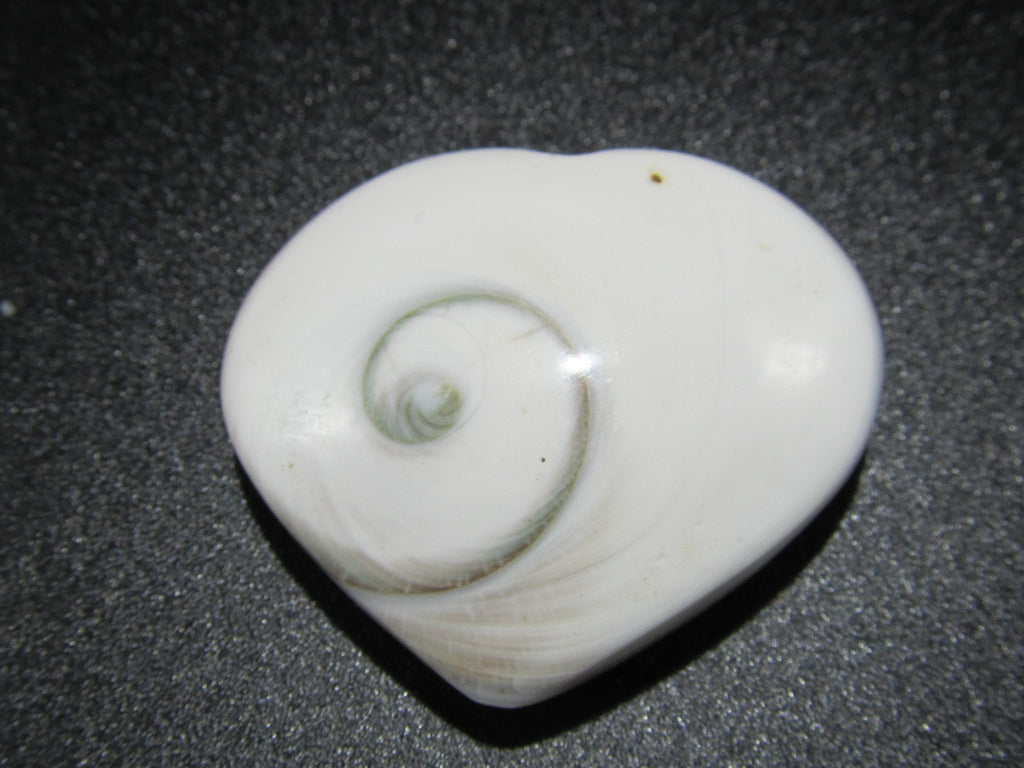 OPERCULE - OEIL DE SAINTE-LUCIE – Cactus Mineral